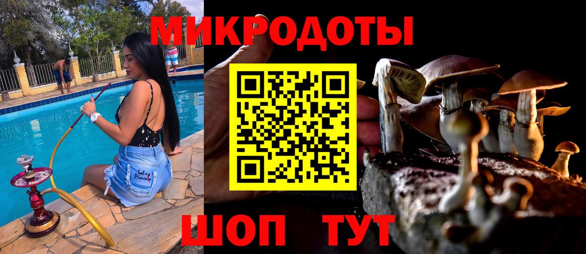 Галлюциногенные грибы GOLDEN TEACHER  Вход с VPN  Славгород 